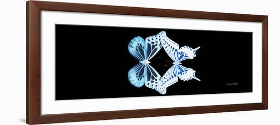 Miss Butterfly Duo Melaxhus Pan - X-Ray Black Edition-Philippe Hugonnard-Framed Photographic Print