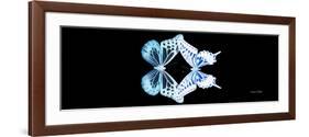 Miss Butterfly Duo Melaxhus Pan - X-Ray Black Edition-Philippe Hugonnard-Framed Photographic Print