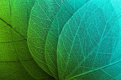 Photographic Print, , small