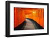 Torii Gates in Fushimi Inari Shrine, Kyoto, Japan-lkunl-Framed Photographic Print