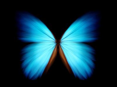 Photographic Print, , small