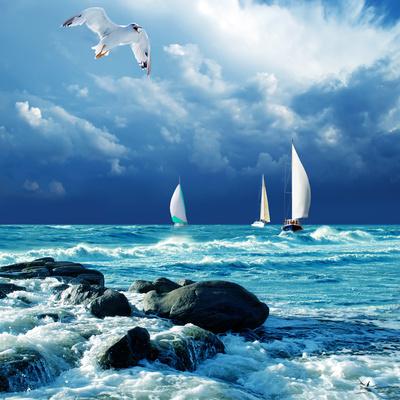 Photographic Print, , small
