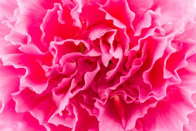 Photographic Print, , small
