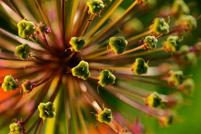 Photographic Print, , small