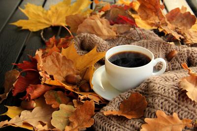 Autumn, Fall Leaves, Hot Steaming Cup of Coffee and a Warm Scarf on ...