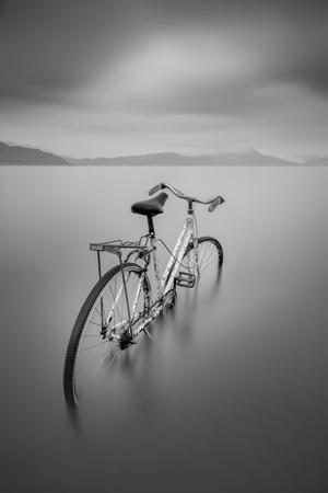 Photographic Print, , small