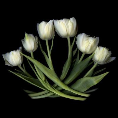 Photographic Print, , small