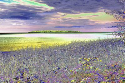 Photographic Print, , small
