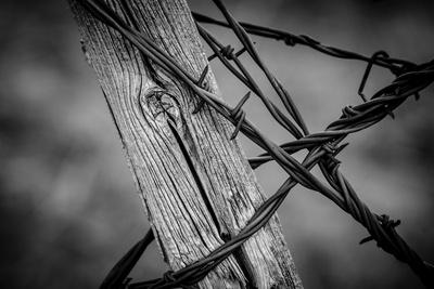 Photographic Print, , small