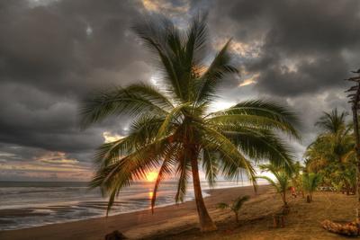 Photographic Print, , small