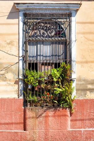 Photographic Print, , small