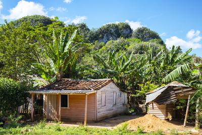 Photographic Print, , small