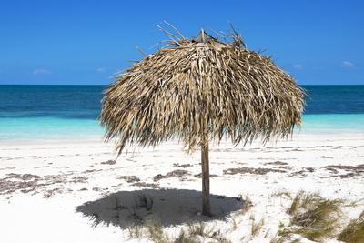 Photographic Print, , small