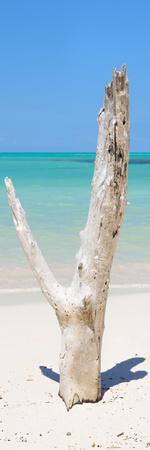 Photographic Print, , small