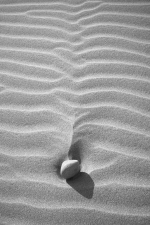 Photographic Print, , small