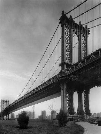 Photographic Print, , small