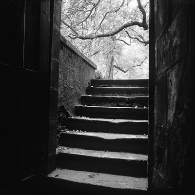 Photographic Print, , small