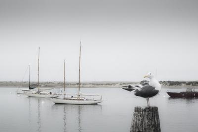 Photographic Print, , small