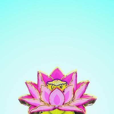 Photographic Print, , small