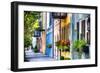 Rainbow Row I, Charleston South Carolina-George Oze-Framed Photographic Print