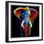 Great Elephant-Clara Summer-Framed Art Print