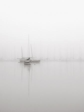 Premium Photographic Print, , small