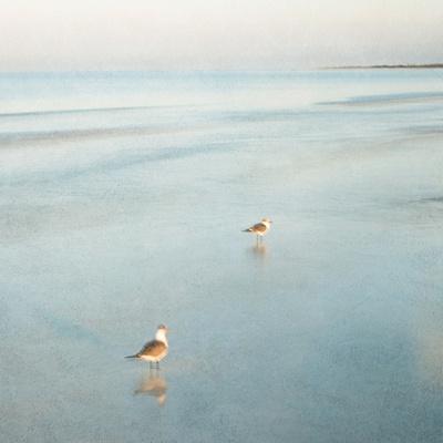 Photographic Print, , small