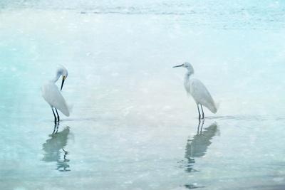 Photographic Print, , small