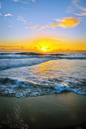 Photographic Print, , small