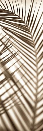 Premium Photographic Print, , small
