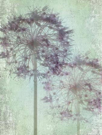 Photographic Print, , small