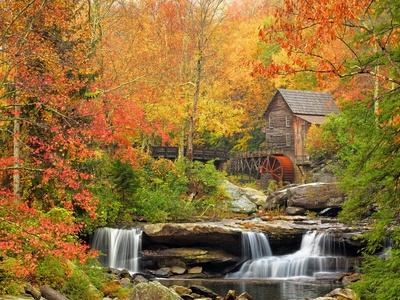 Premium Photographic Print, , small