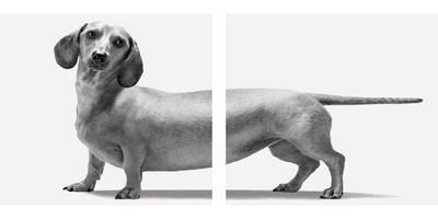 Photographic Print, , small