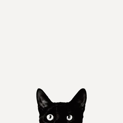 Photographic Print, , small