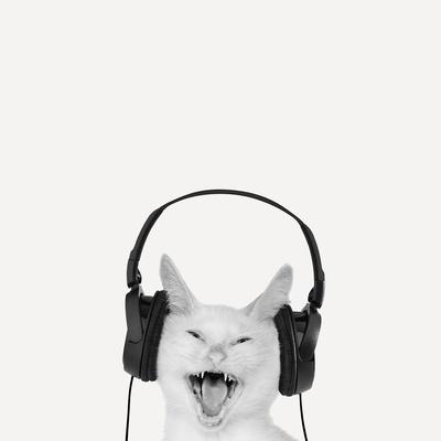 Photographic Print, , small