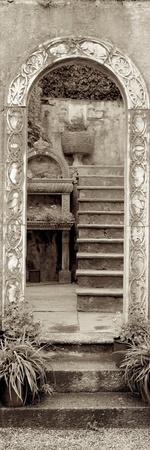 Premium Photographic Print, , small