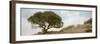 Oak Tree #76-Alan Blaustein-Framed Photographic Print