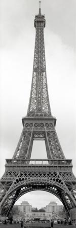 Premium Photographic Print, , small