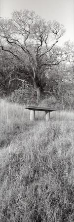 Premium Photographic Print, , small