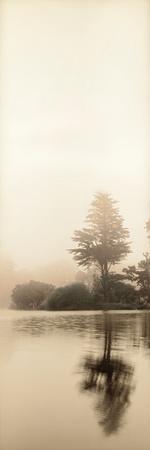 Premium Photographic Print, , small