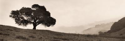 Premium Photographic Print, , small