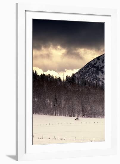 Snowmobiler Riding At Sunset In The Mountains-Lindsay Daniels-Framed Photographic Print