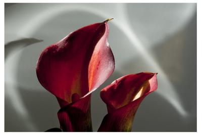 Photographic Print, , small