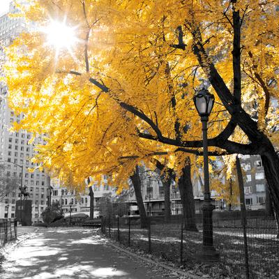 Photographic Print, , small