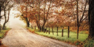 Photographic Print, , small