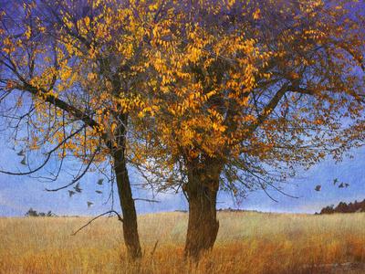 Premium Photographic Print, , small
