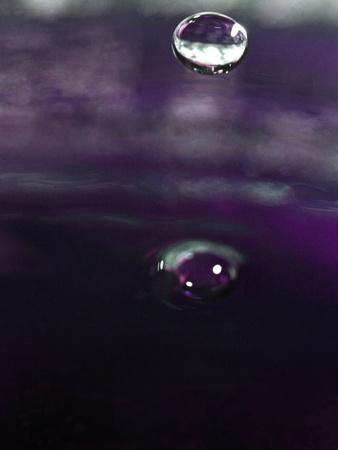 Photographic Print, , small