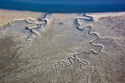 Photographic Print, , small