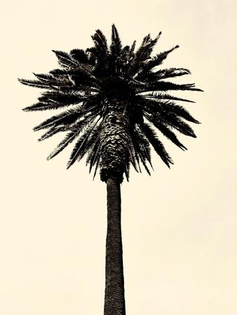 Photographic Print, , small