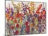 Variety of Flowers II-Tim O'toole-Mounted Art Print